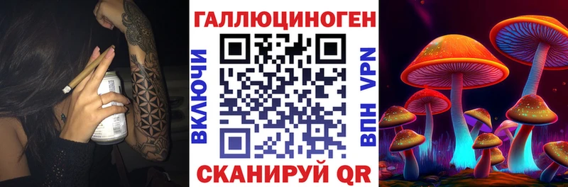Купить закладки  Дубна  Псилоцибиновые грибы мицелий 